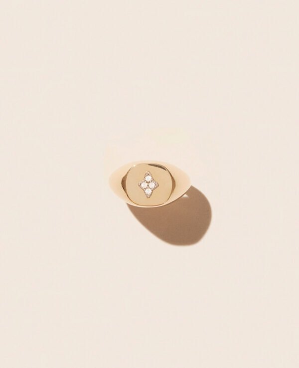 pascale-monvoisin-louise-chevaliere-or-jaune-diamant-unisexe-bague-valence-france-bijoux-artisanal-elegant-tendance