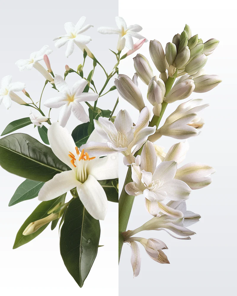 recharge podium medium rosa